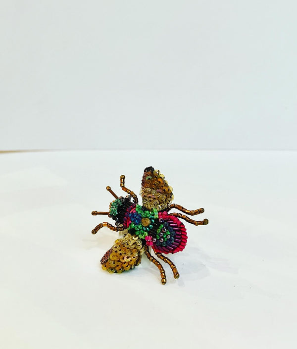 Rainbow Bee