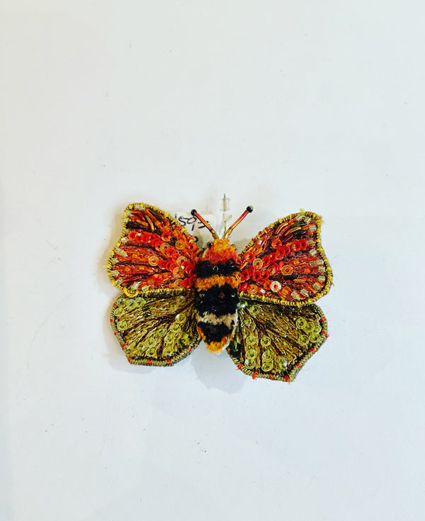Maderensis Felder Butterfly