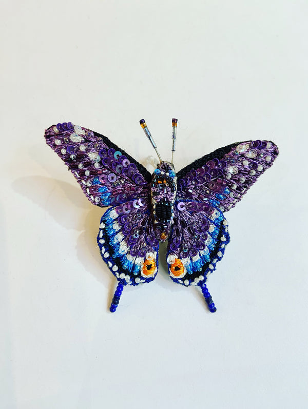 Eastern Black Swallow Butterfly