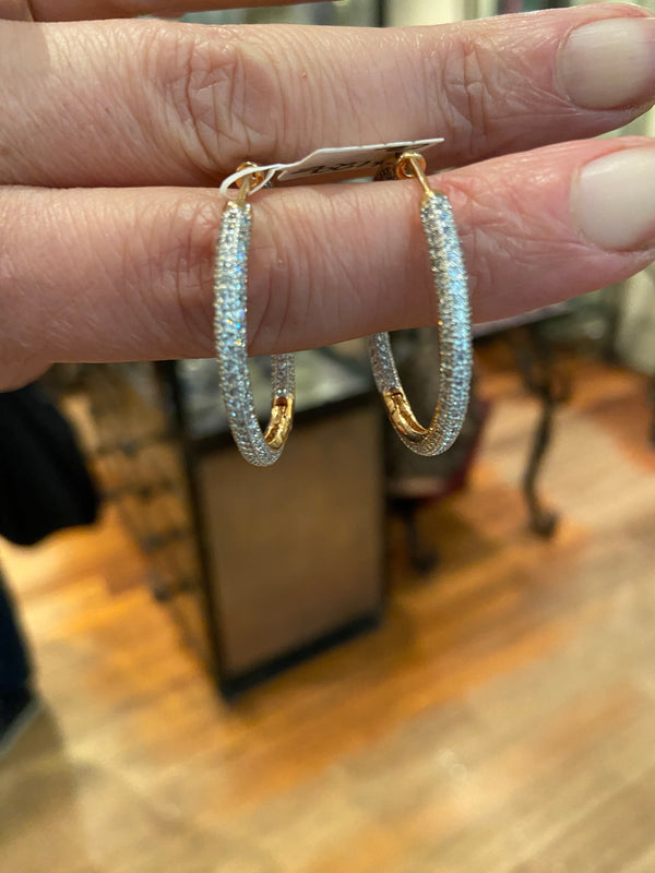 Shimmering Hoops