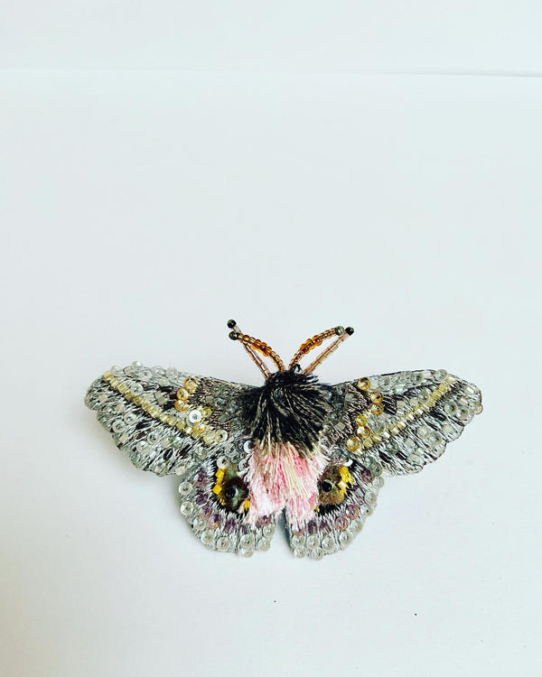 Pink Eyed Silk Moth