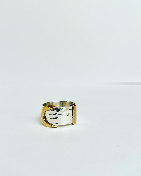 Buckle two tone ring